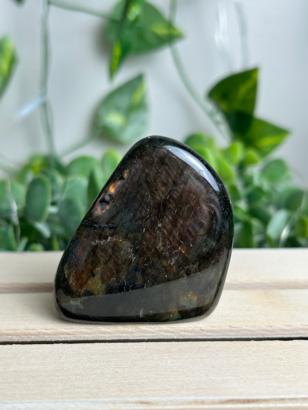 Labradorite Mini Freeform L